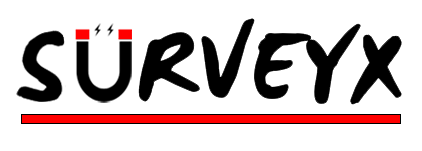 Surveyx.it